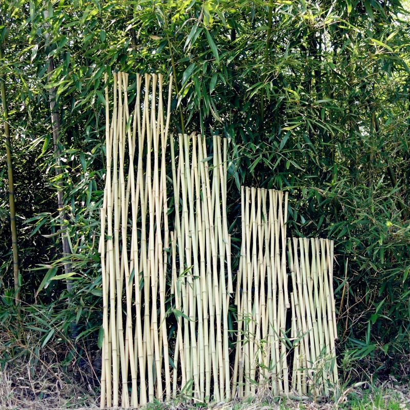 竹篱笆花园围栏庭院绿化伸缩竹竿花栏网竹栅栏围墙护栏装饰爬藤架