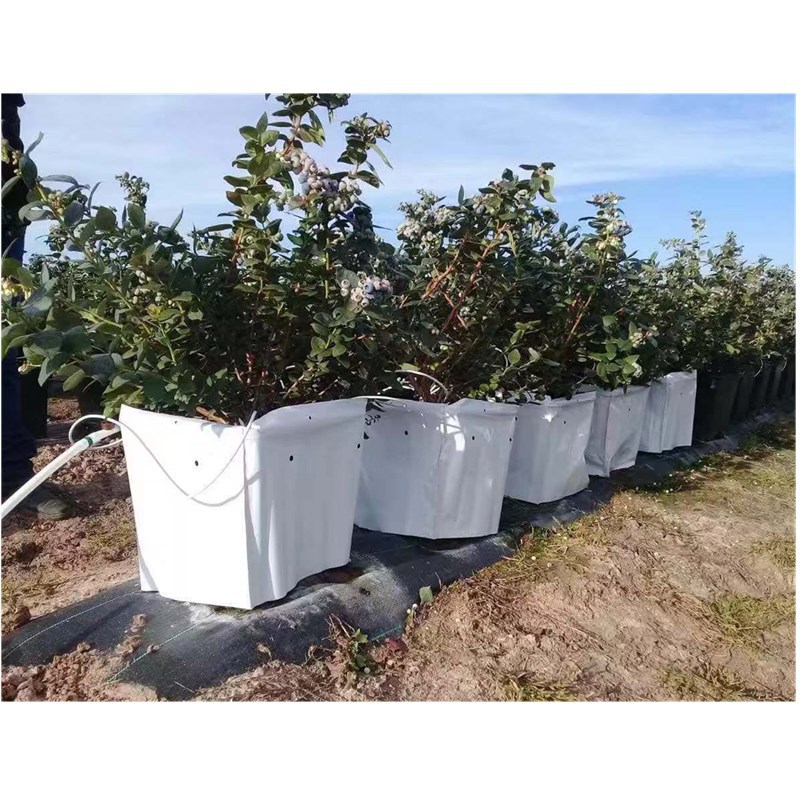工厂oem10升 20升 黑白膜草莓 番茄种植袋 加厚不易变形  植树袋