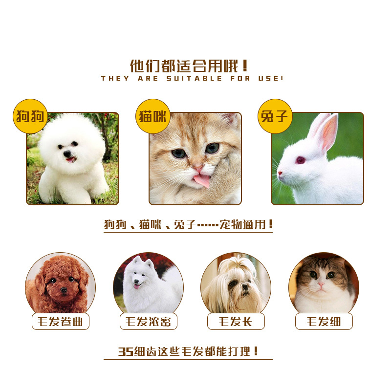Lili Pet Hair Shaver Dogs and Cats Pet Long-Haired Rabbit Shaving Electrical Hair Cutter Charging Incense Inserted Universal Shearing Tool