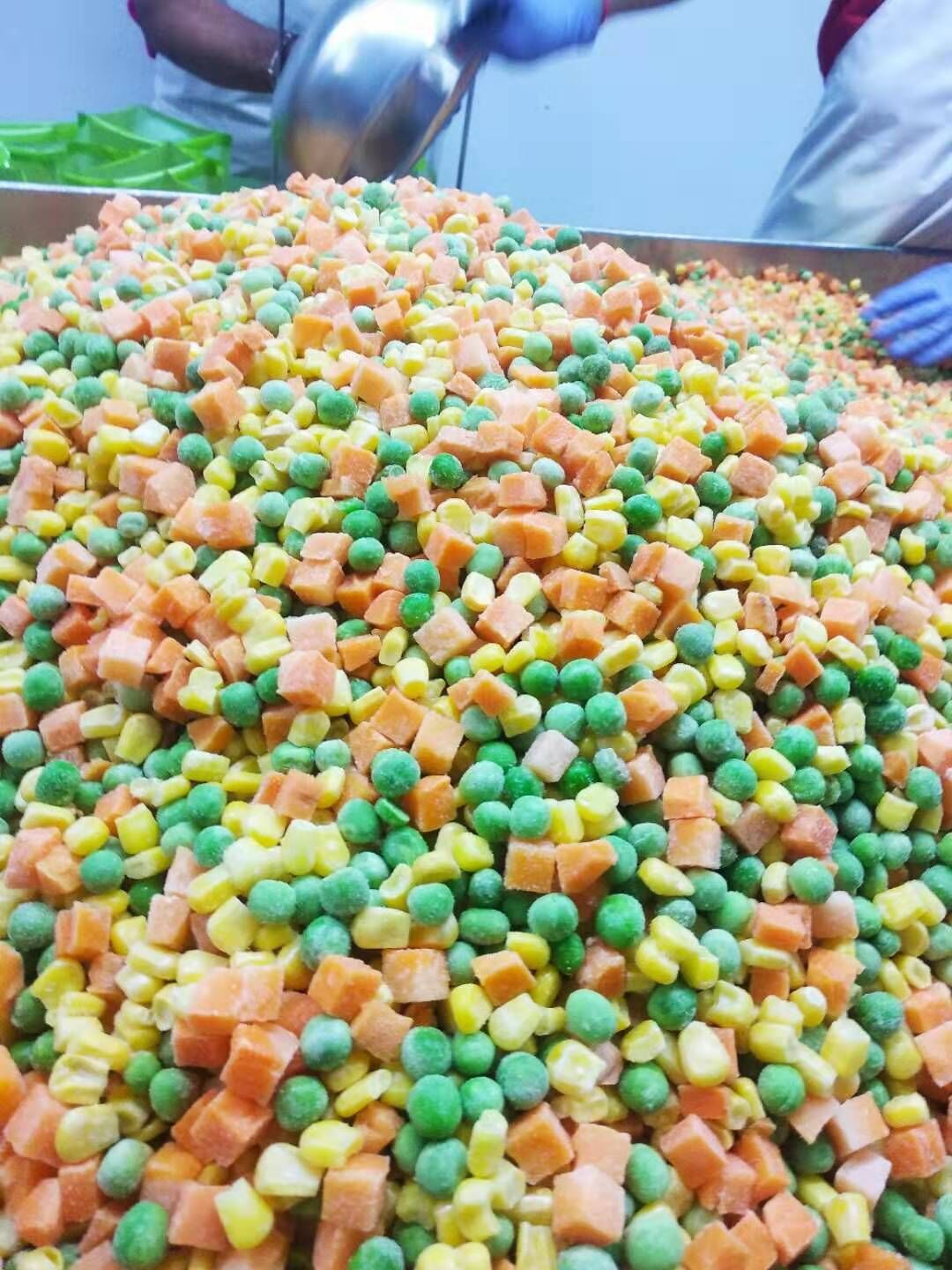 混合菜厂家直销冷冻蔬菜 加州速冻蔬菜放心冷冻食材批发自有基地