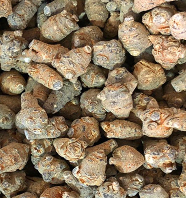 三七120头 小三七1公斤 三七120头 初级农产品