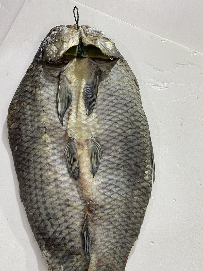 厂家供应千岛湖青鱼干 淡水咸鱼干过年送礼良品现货