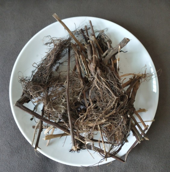 中药材 紫锥菊 松果菊 紫锥花 紫锥菊根 紫锥菊草根