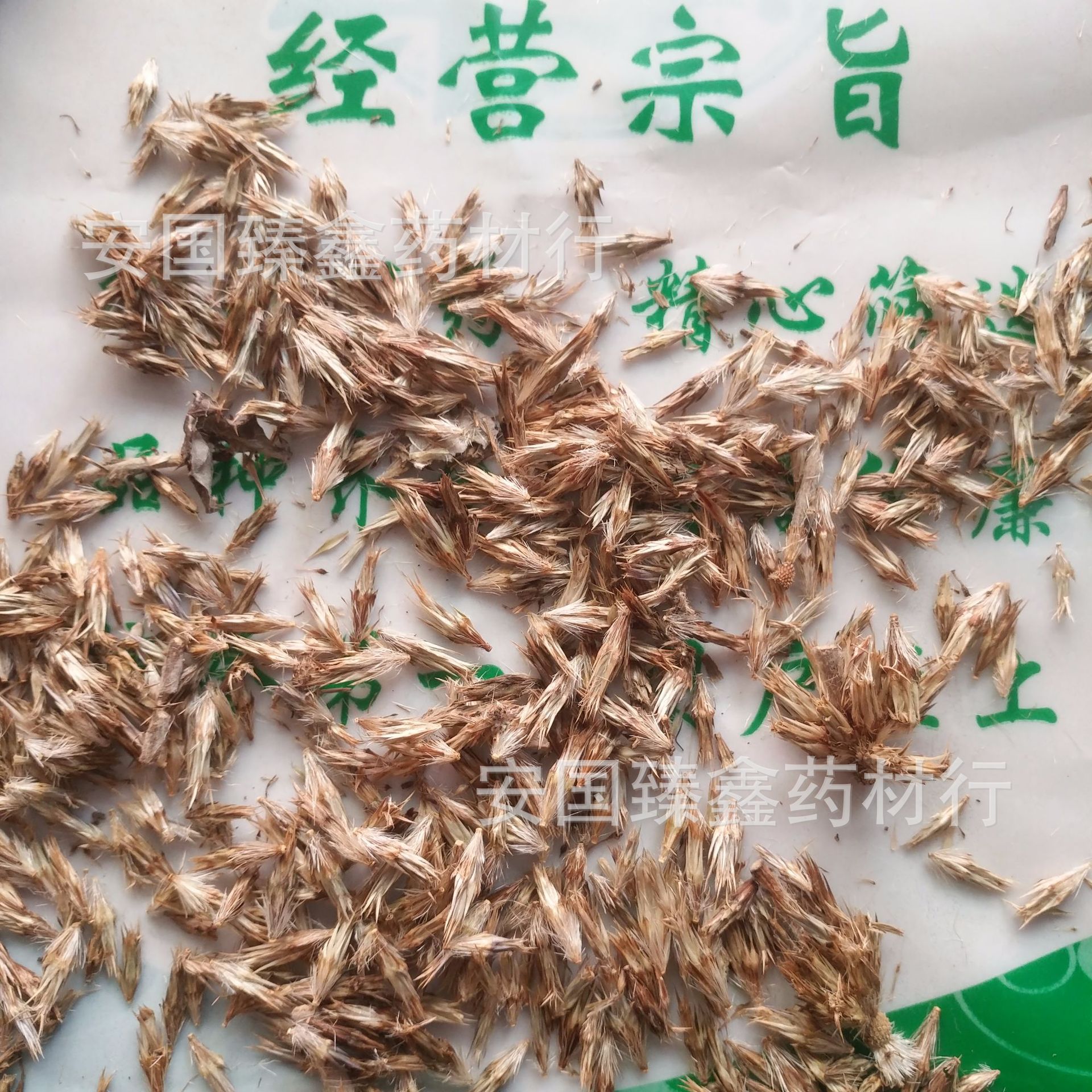 蓝刺头禹州漏芦蓝星球实拍