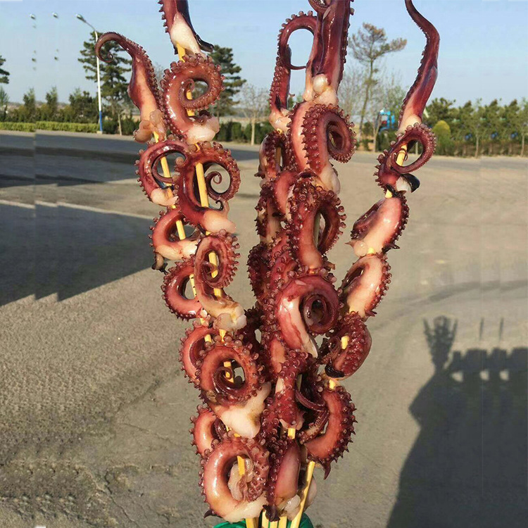 现货热卖 150g烧烤章鱼大串 凤舞串章鱼足串 鱿鱼大串 八爪鱼串