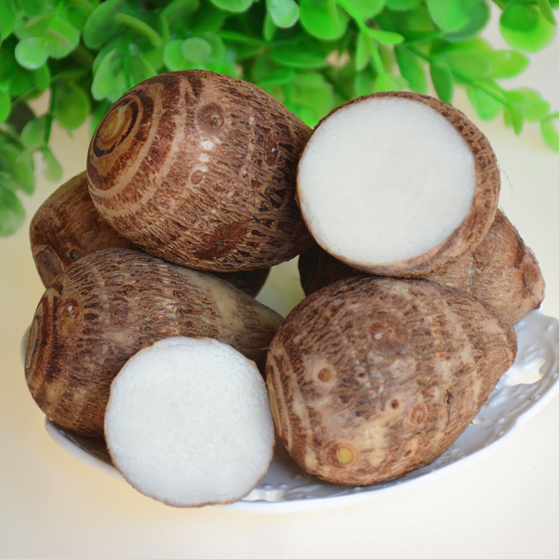 山东奶心小芋头 现挖 毛芋 农家软糯芋仔 5斤包邮 一件代发