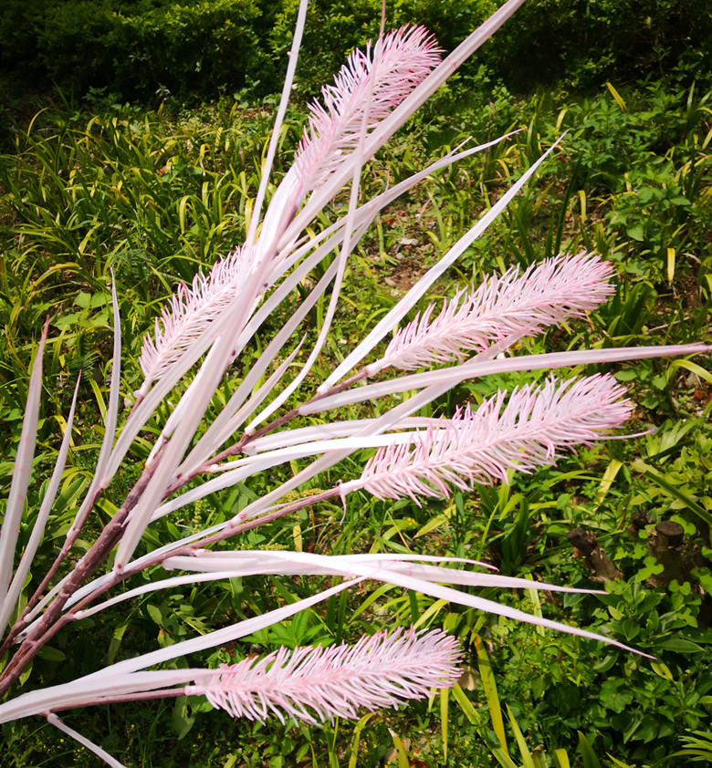 大芦苇 网红拍照爆款塑料水草4色5头婚庆路引 背景墙装饰一件代发