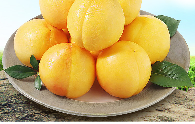 山东蒙阴水果黄桃现摘现发新鲜黄油桃精挑大个黄毛桃带箱10斤包邮