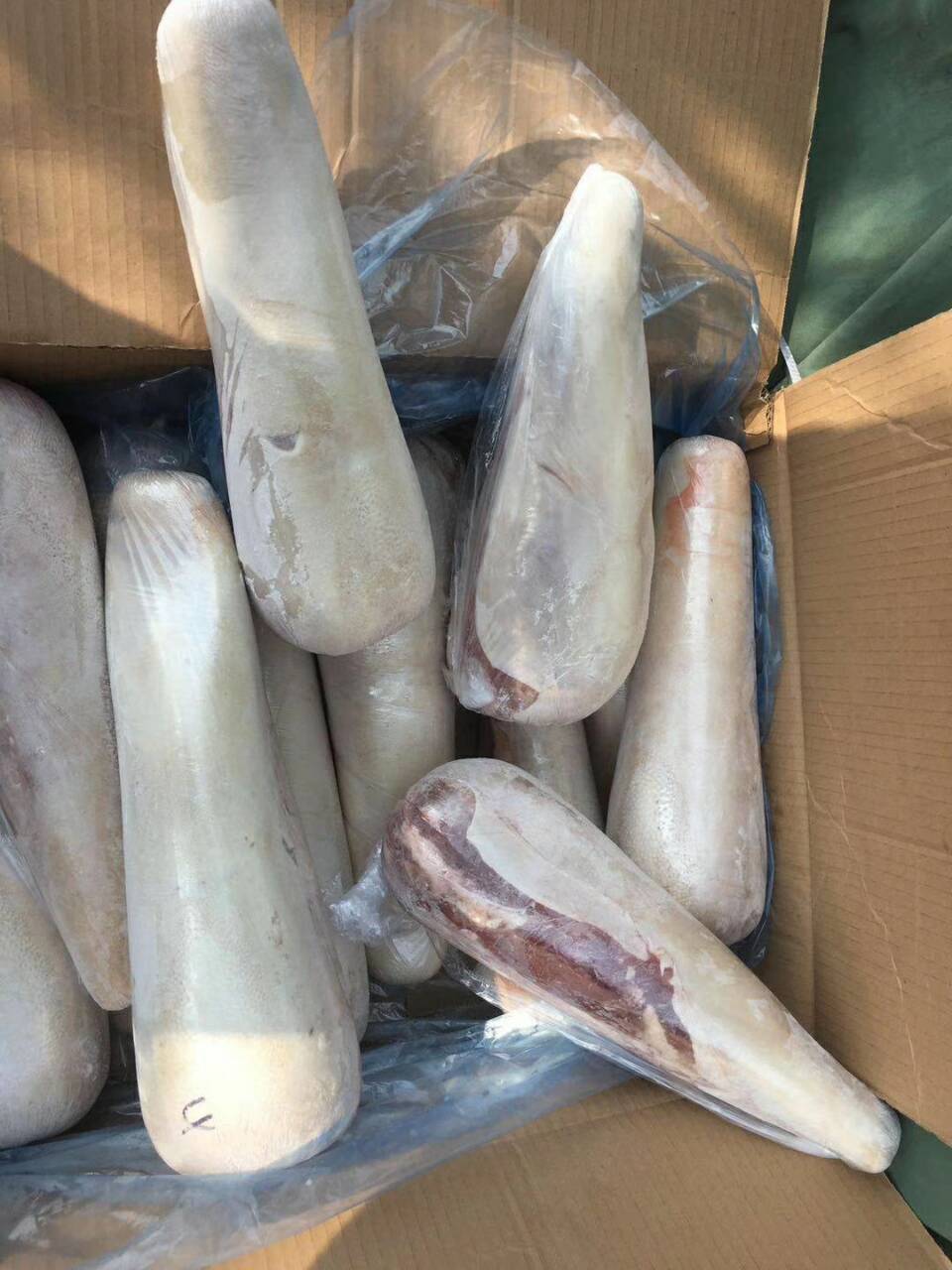 冷冻纯干牛舌火锅烤肉卤牛舌牛舌火锅片无调理大小批发50斤件