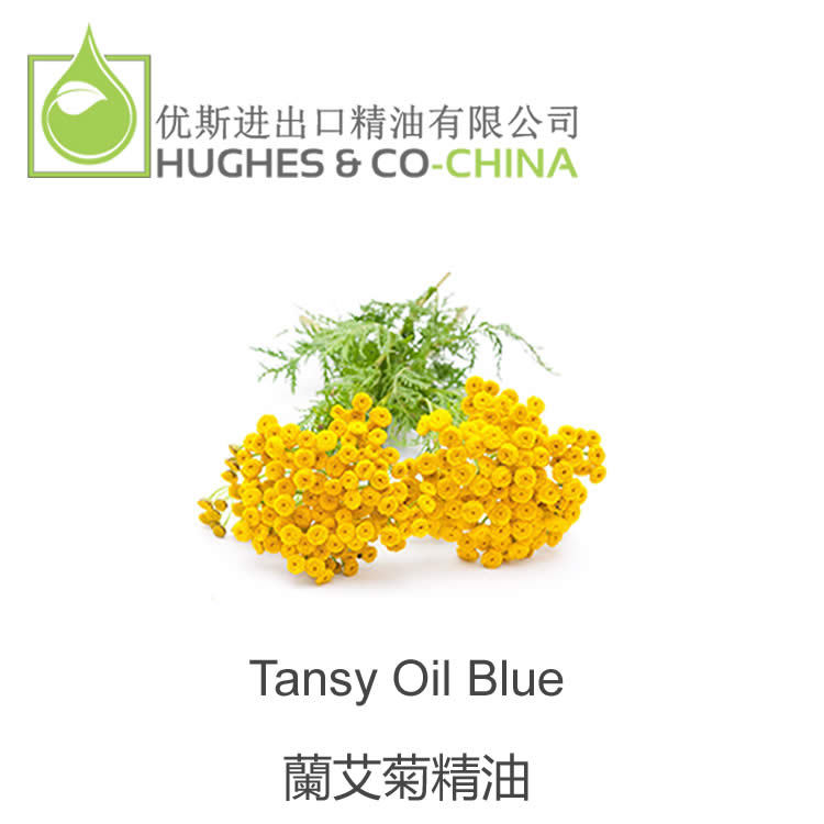 蓝艾菊单方精油 芳疗护肤美容 香薰 手工皂 英国进口精油原料批发