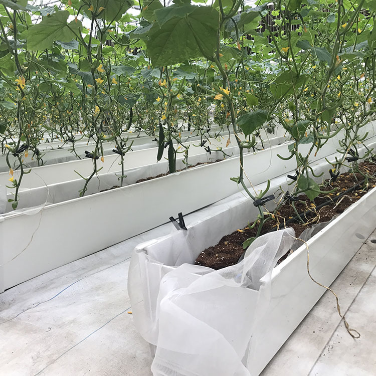 大量提供温室大棚蔬菜草莓无土栽培立体式种植槽养殖槽天沟水槽