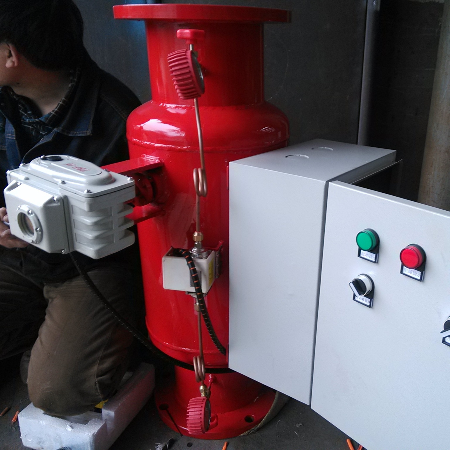 上海电子除垢仪