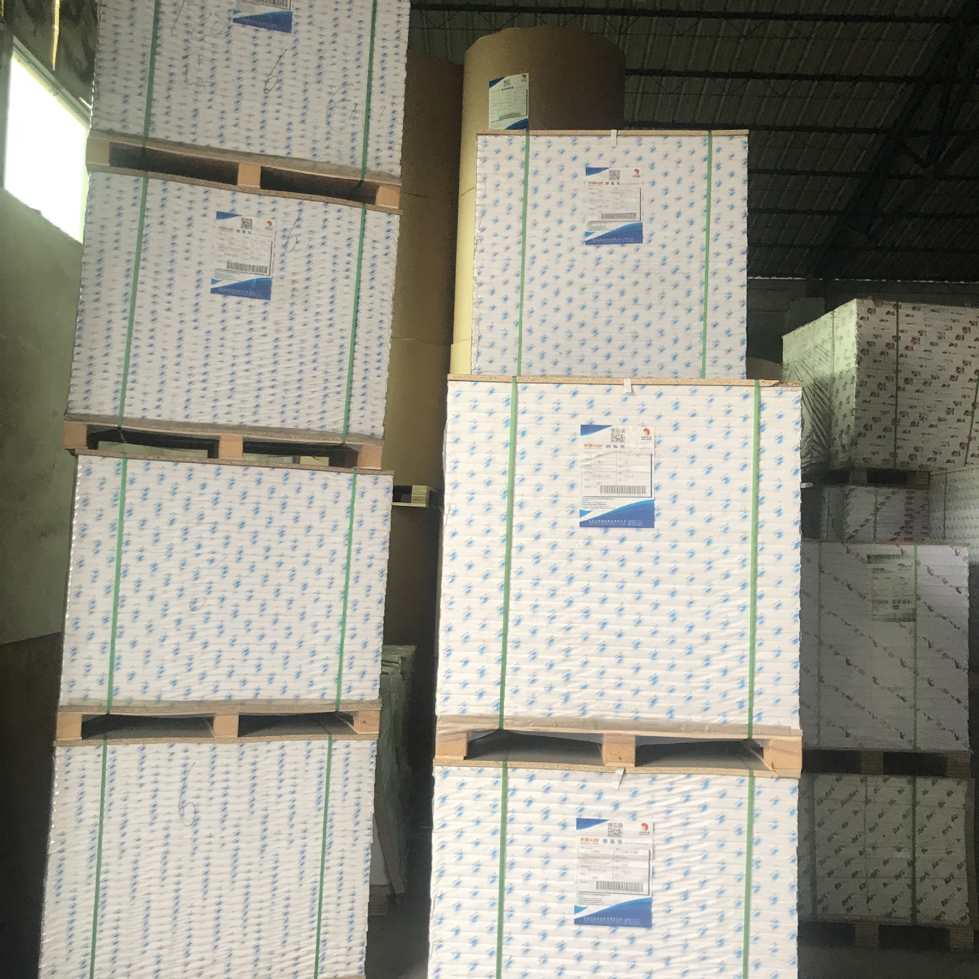 300克金蝶兰丹顶鹤丽品博汇酋长彩蝶白卡