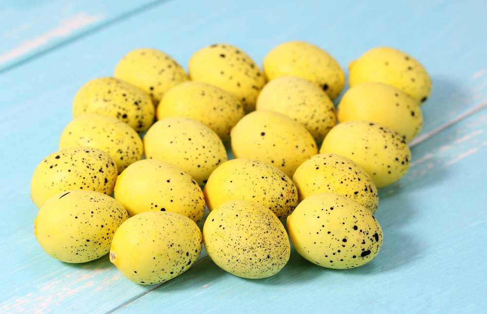 仿真小鸟蛋金蛋鹌鹑鸽子蛋模型写生绘画道具微景观摆设彩色鸟蛋