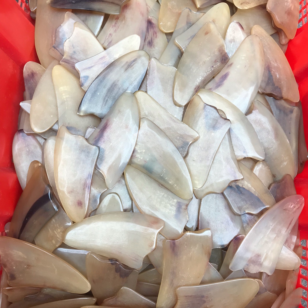 10羊三角普通羊角三角片9-11厘米长中三角刮痧板羊角片 厚5-8毫米