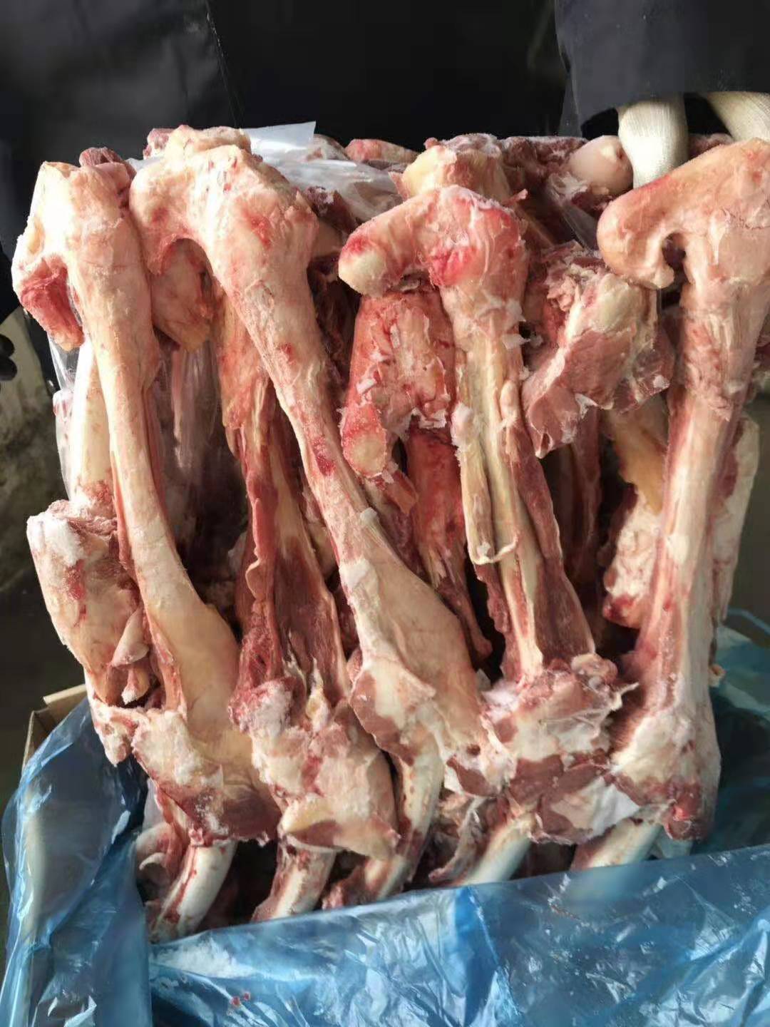 批发羊棒骨 羔羊多肉棒骨 大羊多肉棒骨 育肥羊棒骨 羊干棒骨