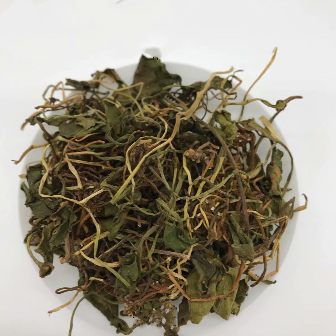 瓶尔小草的功效与作用图片