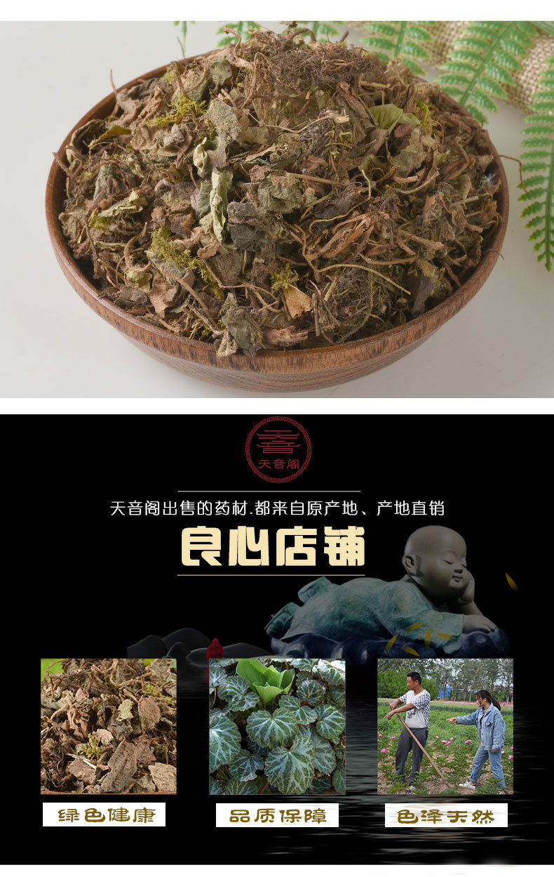 中药材拍批发虎耳草新货金丝荷叶无硫耳朵红 零售老虎草 产地货源