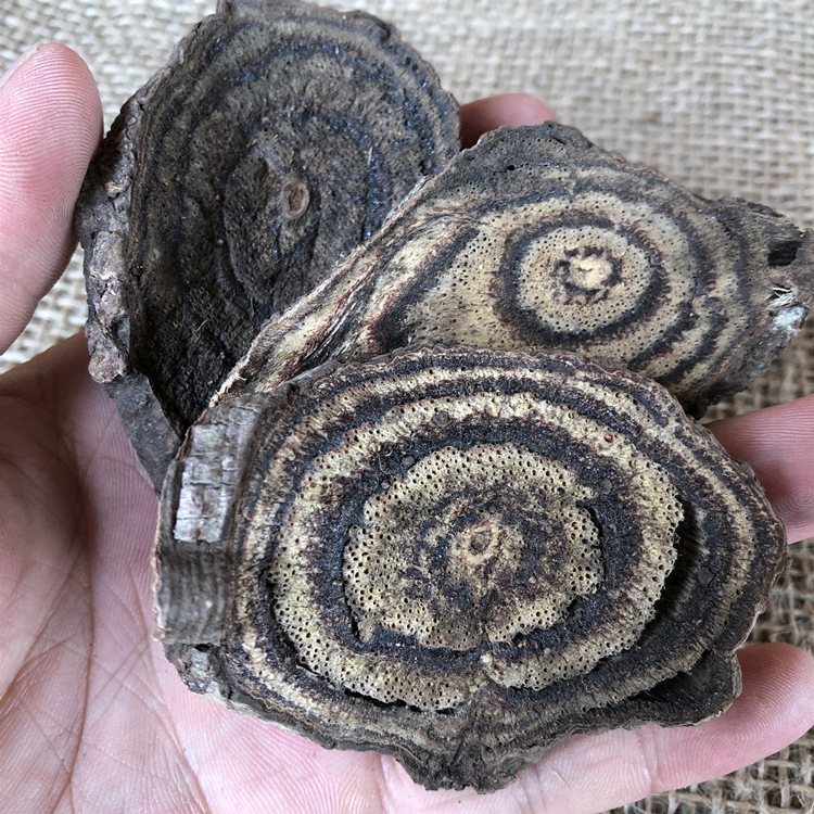 黑骨藤/黑龙骨 批发 代发货招商 量大从优采购企业