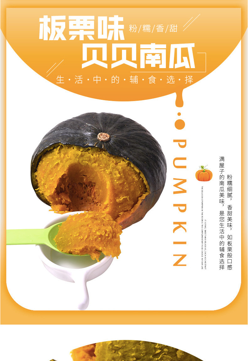 【沁甜春】山东板栗南瓜5斤贝贝小南瓜宝宝辅食新鲜蔬菜一件代发