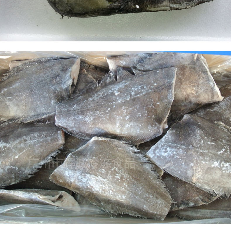 格陵兰岛比目鱼 冷冻去头无尾深海野生鲽鱼西餐批发 切片扁鳕鱼扒