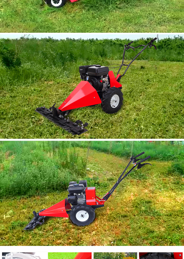 汽油小型剪草机草坪机庭院园林修剪机手扶式家用割草机