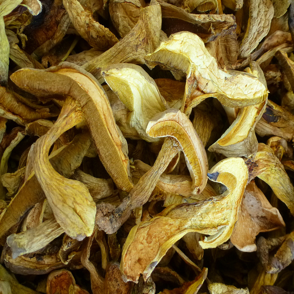 【裕菌隆】 黄香菌干片 黄牛肝菌 酒店干黄牛肝菌 黄香菌产地批发