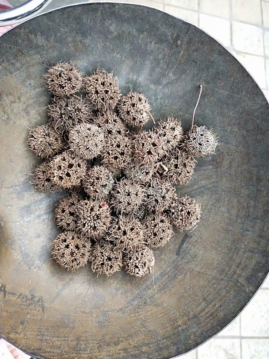 中药材路路通 枫香果 九孔子 枫球子 枫树果