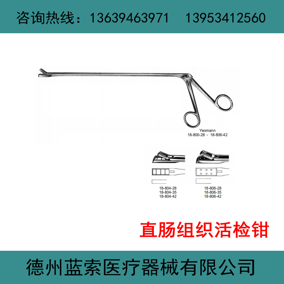 直肠组织活检钳 肛肠科活检钳 优质不锈钢材质 灵活轻便