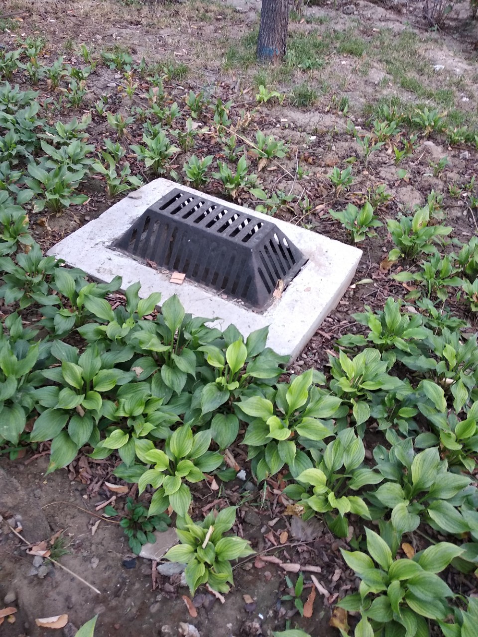 球墨铸铁_球墨铸铁口圆形**18绿化井海绵城市专用 - 阿里巴巴