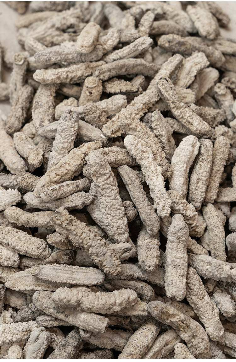 圣恒海味黄玉参15-100头白黄肉参酒店餐饮干货海味产地供应批发