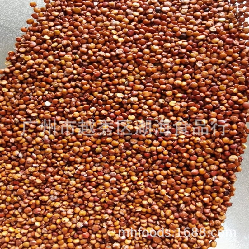 产地货源红藜麦玻利维亚 工厂直供红白黑三色藜麦批发可开发票