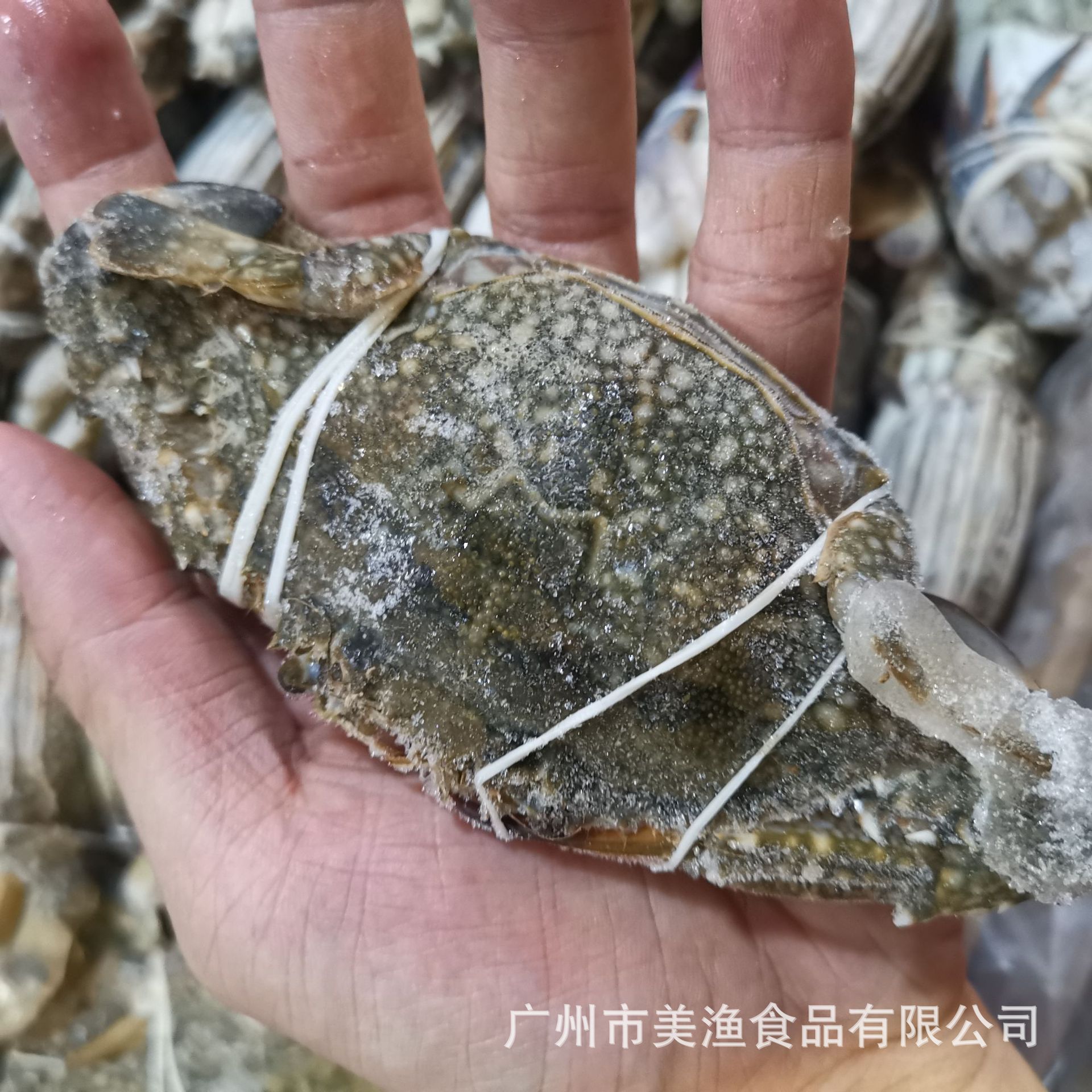 冷冻蓝花蟹 自助餐 酒店用海蟹梭子蟹 兰花蟹100g-150g/只8kg/件