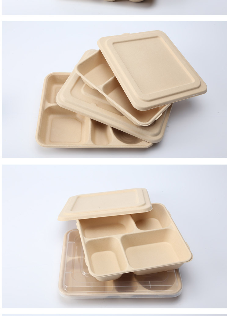 纸浆四格餐盒五格餐盒一次性环保可降解饭盒外卖打包便当盒快餐盒