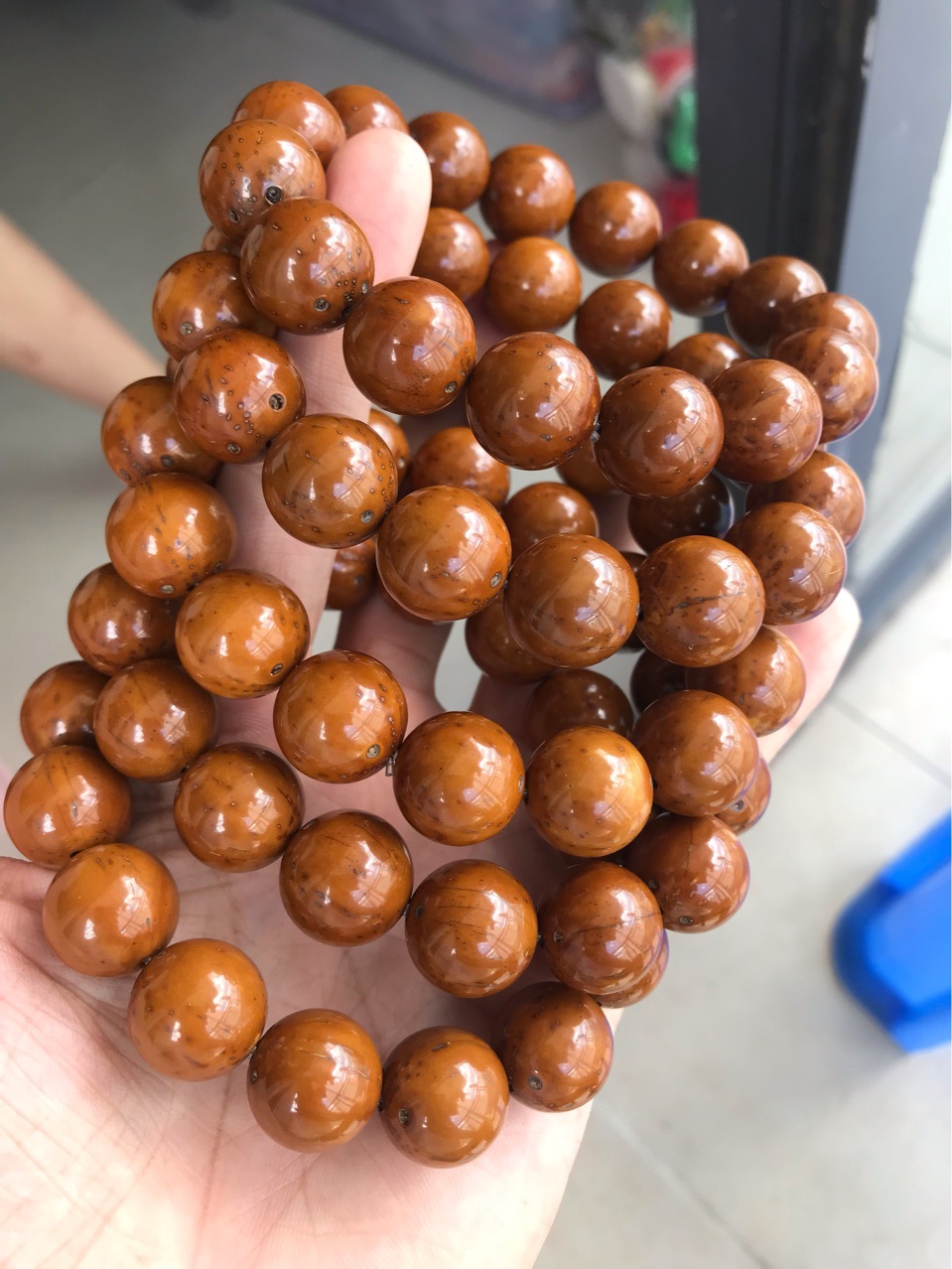 【三眼菩提】-三眼菩提厂家,品牌,图片,热帖-阿里巴巴