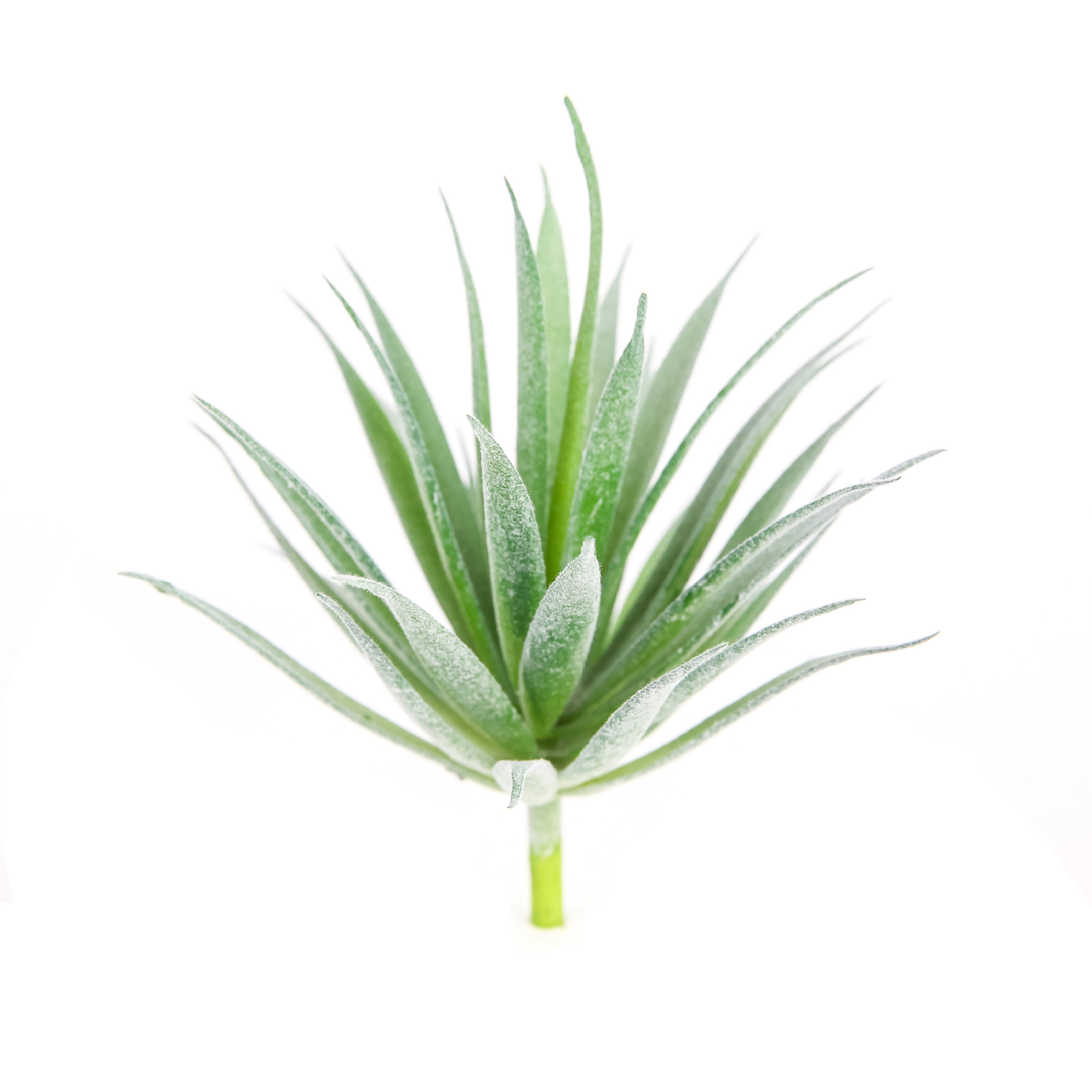 diy仿真多肉植物植毛 迷你假多肉植物盆景配花 款式超过20款 bn1