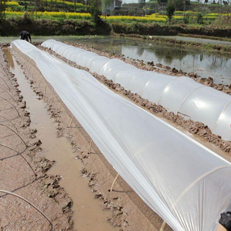 厂家批发pe打孔地膜 农用黑色除草地膜复合隔热保湿薄膜