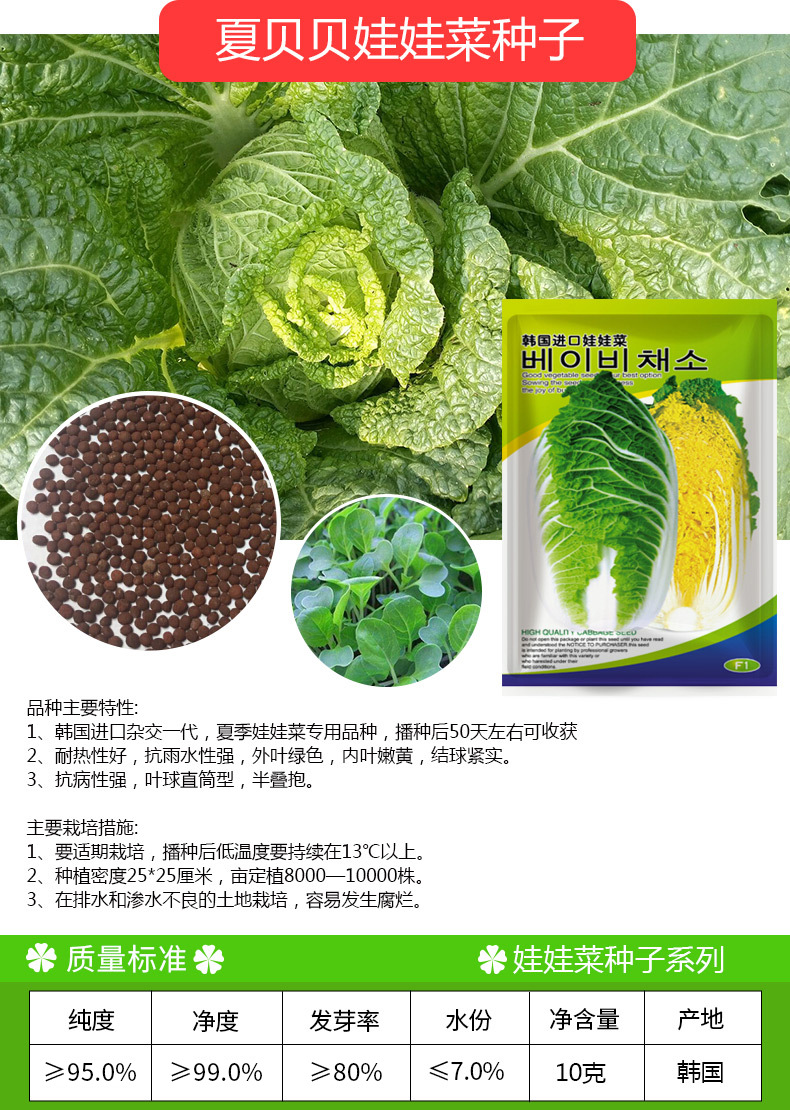 凤鸣雅世 夏贝贝娃娃菜种子10克四季农家蔬菜种子菜种籽种孑批发