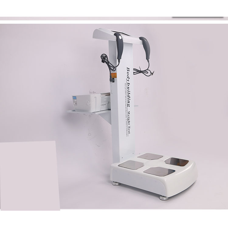 体测仪 国产体能测试仪器 私教工作室健康体脂检测