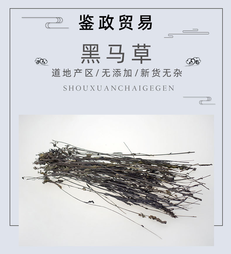 批发散装黑马草 黑草鬼羽箭别名幼克草 克草 黑骨草 忌箭草