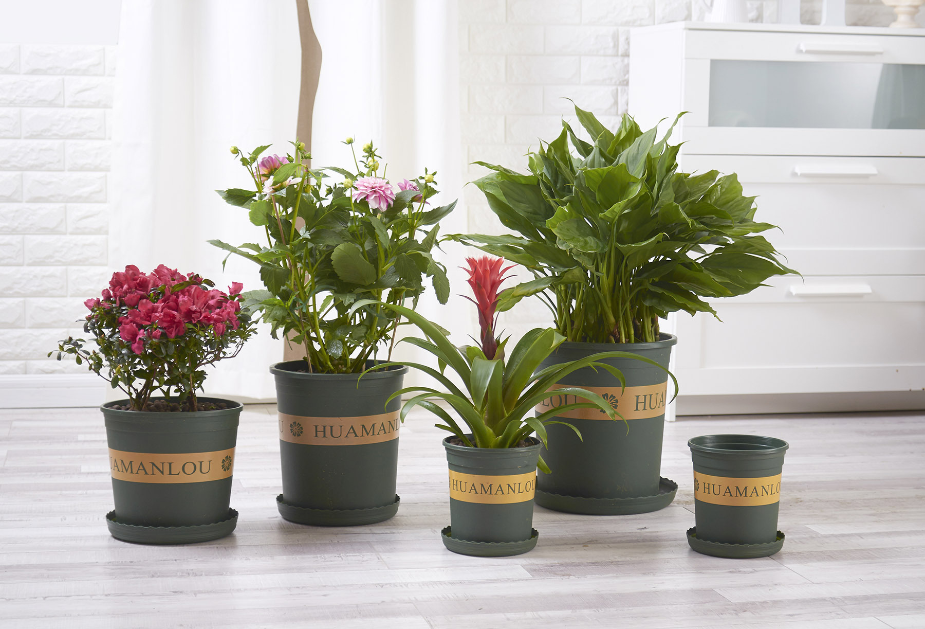 3加仑盆 圆形军绿印花盆 月季铁线莲创意深型塑料盆栽花盆种植盆