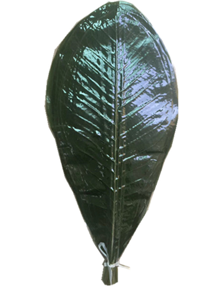 贮存绿色朴叶_日本寿司风味烧烤铁板烧料理盛器新鲜贮