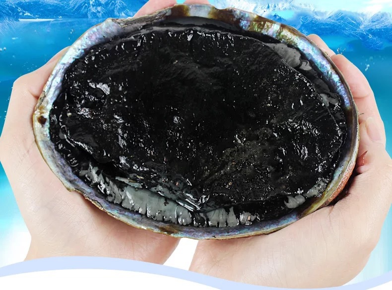 黑金鲍 新西兰野生海鲜水产鲍鱼400-600g/只 酒店高端刺身食材