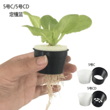 无土栽培固根器叶菜果蔬菜可用圆形水培定植篮5号C/5号CD