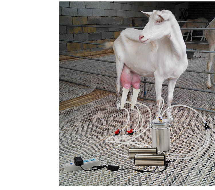 电动便携式羊用吸奶器 家用牛用挤奶机 小型奶牛吸奶机充电挤奶器