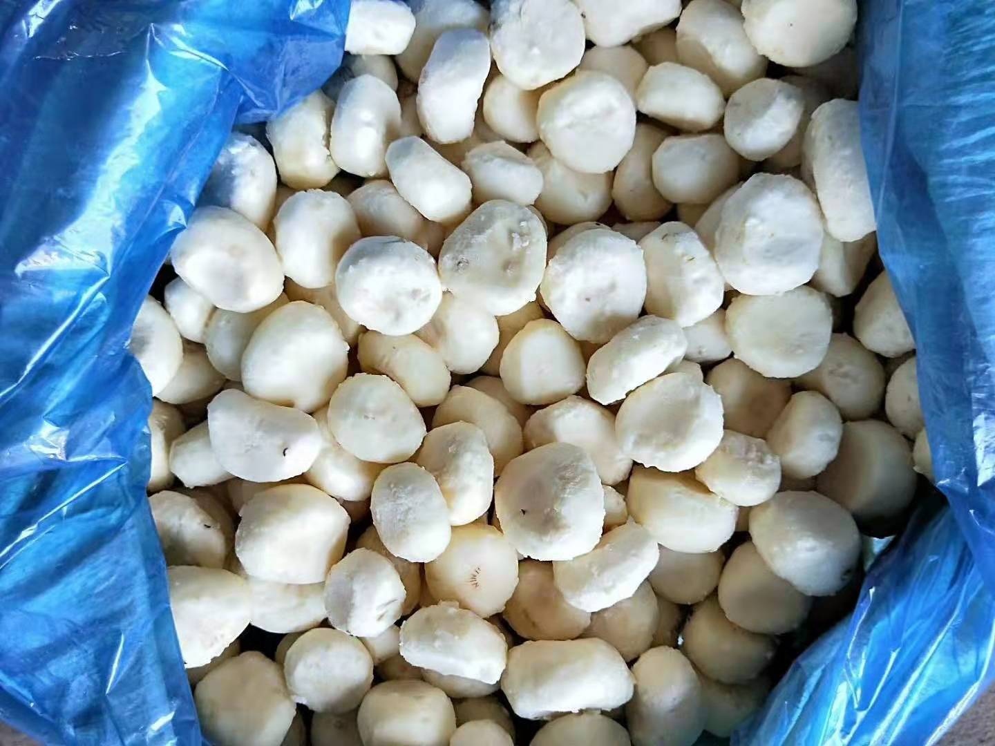 2020常年有货 冷冻马蹄丁 速冻马蹄丁 冷冻蔬菜 a级品