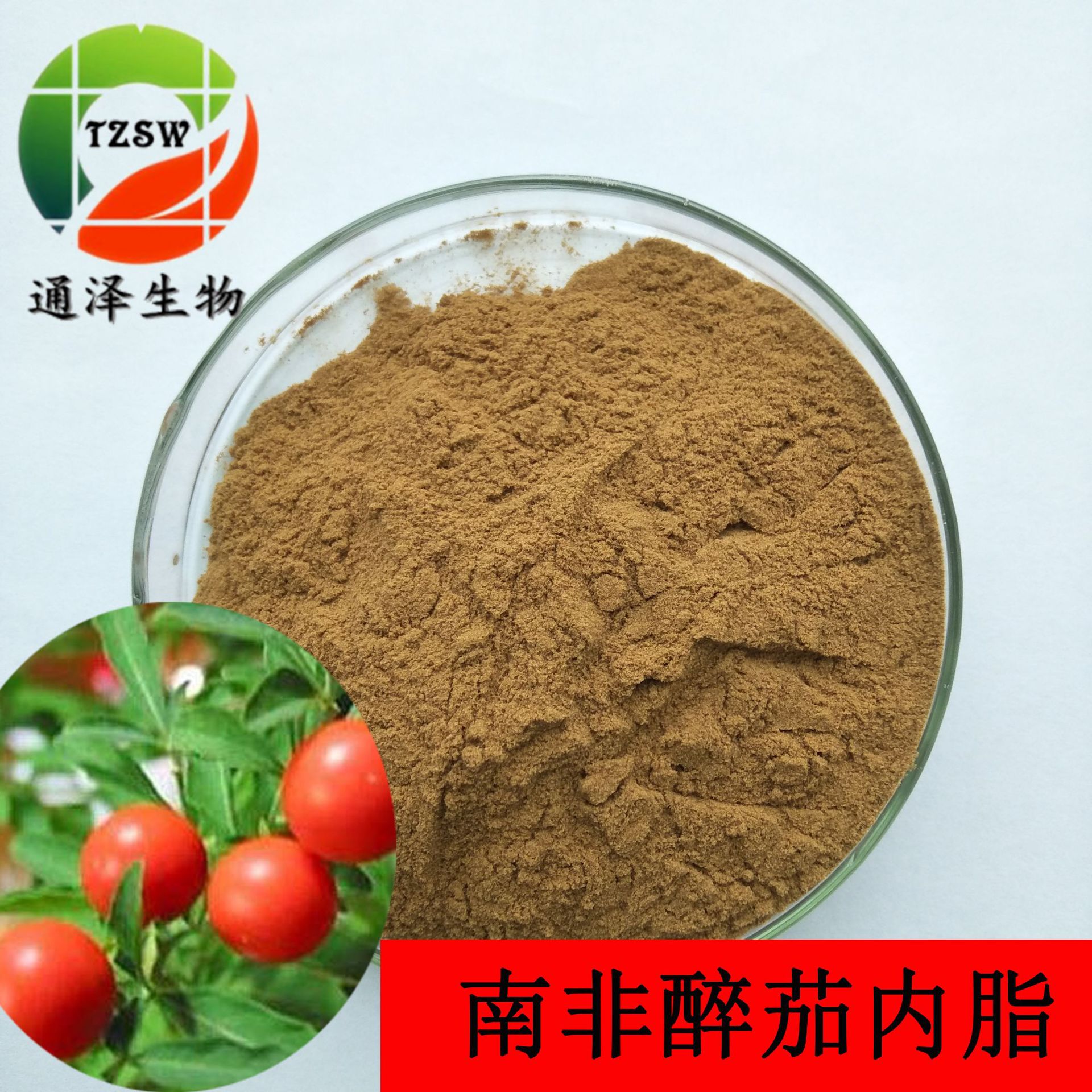 南非醉茄内脂2.5% 南非醉茄提取物 水溶 固体饮料 现货供应