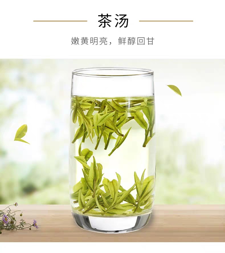 安吉凤形白茶2019新茶浙江产珍稀高山绿茶明前白茶礼盒装伴手礼茶