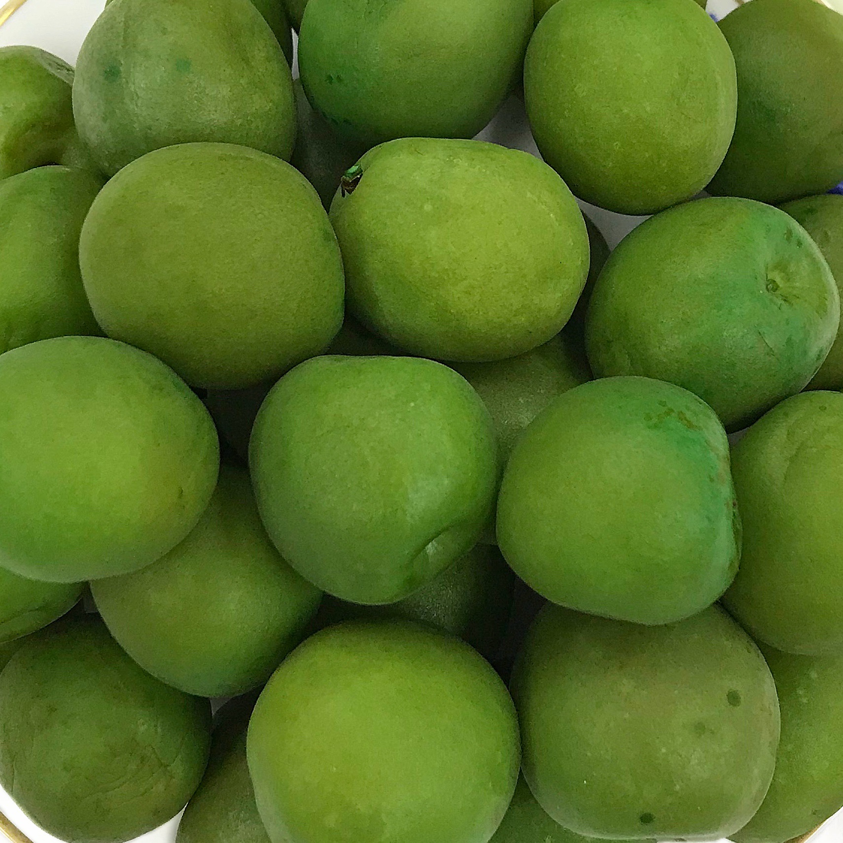 荔园爽脆青梅大青梅2.5kg/包 酸甜多汁爽青脆梅蜜饯凉果散装批发