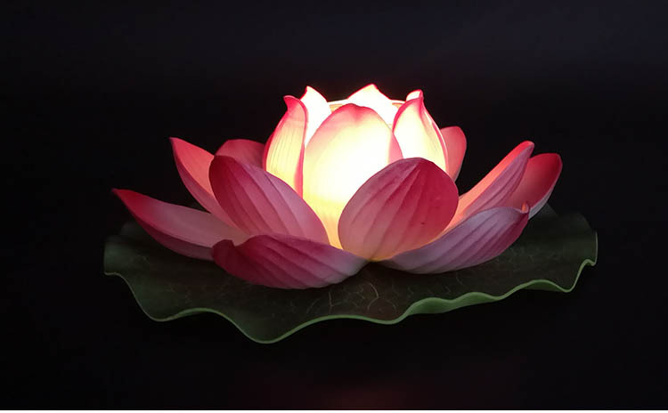 荷花灯 河灯 祈福法会莲花灯供佛灯带防风玻璃杯20cm六个颜色可选